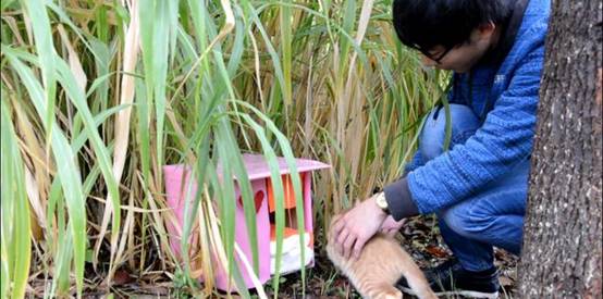 长沙理工大学学生用快递盒打造“别墅”