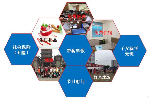 1504767835369317.jpg 3.jpg